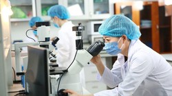 Bộ KH&CN lên kế hoạch phát triển nguồn nhân lực số