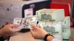 BVSC: Đà tăng của đồng USD là ngắn hạn, không tạo ra áp lực lớn với tỉ giá như năm 2022