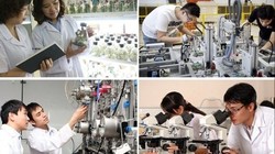 Thành lập Hội đồng Quốc gia về Khoa học, Công nghệ và Đổi mới sáng tạo