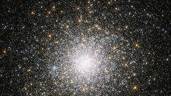 Ảnh: News Info Park