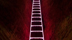 Ảnh: What's News Publishing