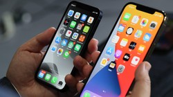 Apple có kế hoạch sản xuất tới 96 triệu chiếc iPhone trong nửa đầu năm 2021, bao gồm cả iPhone 12 và iPhone SE 2020.