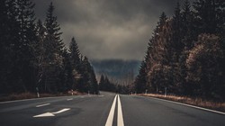 Ảnh: What’s New In Publishing