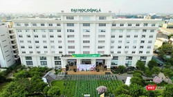 Quang cảnh Lễ hội giao lưu văn hóa Việt – Nhật và Ngày hội việc làm Nhật Bản 2021 tại Đà Nẵng nhìn từ trên cao