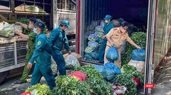 Sau xanh được nhập về các container tại các điểm cung ứng do lực lượng Công an TP Đà Nẵng đảm nhiệm (ảnh Hưng Lợi)