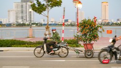 Chở Xuân về nhà