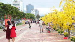 Người dân Đà Nẵng đổ ra đường hoa Bạch Đằng du xuân Nhâm Dần 2022