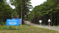 Một góc thị trấn Măng Đen (tỉnh Kon Tum) (ảnh chinhphu.gov.vn)