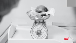 Khối u lấy ra từ tử cung của bệnh nhân H.