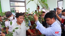 Người dân, du khách tham gia phiên chợ sâm tại Quảng Nam