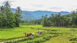 Một góc làng cổ Lộc Yên, huyện Tiên Phước, tỉnh Quảng Nam (ảnh UBND huyện Tiên Phước)