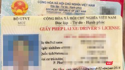 Từ ngày 6/3, Sở GTVT TP Đà Nẵng chính thức triển khai thí điểm dịch vụ công trực tuyến cấp độ 4, cấp đổi giấy phép lái xe trên địa bàn TP.