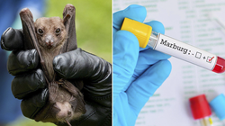 Bệnh Marburg là bệnh đặc biệt nguy hiểm, khả năng lây truyền và tỷ lệ tử vong cao. (Ảnh: tuoitre.vn)