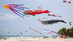 Sẽ có hơn 100 loại diều nghệ thuật đến từ 12 quốc gia sẽ tham gia lễ hội diều quốc tế Quảng Nam 2024