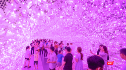 Người dân đổ về không gian ánh sáng kỷ niệm 50 năm thiết lập quan hệ ngoại giao Việt Nam – Nhật Bản tại Đà Nẵng