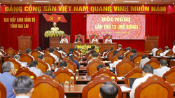 Quang cảnh Hội nghị lần thứ 13, Ban Chấp hành Đảng bộ tỉnh Gia Lai khóa XVI. (Ảnh: TT&CS)