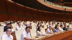 Đại biểu Quốc hội biểu quyết thông qua Nghị quyết. (Ảnh: Doãn Tấn/TTXVN)