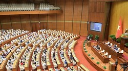 Các đại biểu dự Kỳ họp thứ 6 của Quốc hội khóa XV. (Ảnh: PV/Vietnam+)