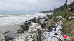 Một đoạn bờ biển Cửa Đại, TP Hội An, Quảng Nam bị sạt lở nghiêm trọng