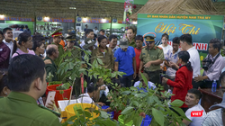 Phiên chợ sâm Ngọc Linh ở Quảng Nam (ảnh CTV)