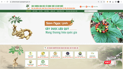 Giao diện sàn thương mại điện tử chuyên quảng bá về sâm Ngọc Linh và các sản phẩm dược liệu, nông sản đặc trưng trên địa bàn tỉnh Quảng Nam