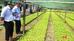 Trung tâm bảo tồn và nuôi trồng dược liệu tại Quảng Nam