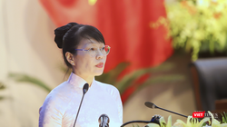 Bà Trần Thị Thanh Tâm - Giám đốc Sở KH&ĐT TP Đà Nẵng