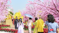 Người dân du xuân tại đường hoa Xuân Đà Nẵng 2024