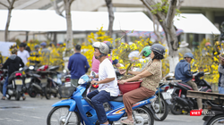 Chở Xuân về nhà