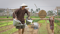 Du khách nước ngoài trải nghiệm làm nông dân tại Làng rau Trà Quế (Hội An, Quảng Nam)