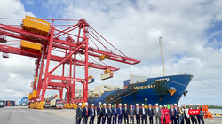 Sáng 3/2, lãnh đạo UBND tỉnh Quảng Nam và Tập đoàn Thaco khánh thành bến tàu 5 vạn tấn và xuất chuyến hàng đầu năm Ất Tỵ đi Trung Đông và Ấn Độ.