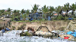 Bờ biển Cẩm An, TP Hội An bị sạt lở nghiêm trọng.