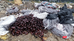 Hàng trăm sản phẩm thuốc diện thu hồi của Công ty dược Trung ương 3 vứt lăn lóc trên đường ở Đà Nẵng.