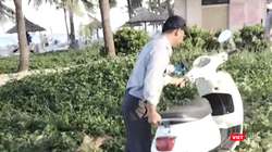 Hình ảnh nhân viên trật tự Ban quản lý bán đảo Sơn Trà và các bãi biển du lịch Đà Nẵng cố gắng di chuyển xe máy để sai quy định, ảnh hưởng lối đi bộ của du khách.