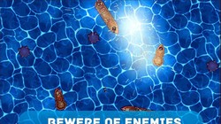 Ứng dụng Android miễn phí