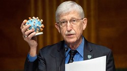 Tại một phiên điều trần về vaccine Covid-19, ông Francis Collins, Giám đốc Viện Sức khỏe Quốc gia (NIH) đưa ra mô hình của virus đang gây nên đại dịch toàn cầu. Ảnh: AP.
