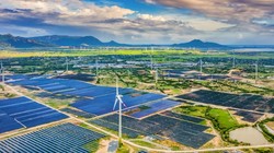 Công ty năng lượng của ông Vũ Quang Bảo nợ gấp 15 lần vốn chủ, lỗ liên tiếp 4 năm