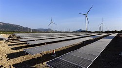 Điện mặt trời Trung Nam liên tục 'khoe' lãi lớn sau khi về tay chủ mới 