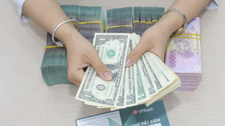 Fed giảm lãi suất tác động thế nào đến kinh tế Việt Nam?