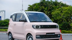 Cổ phiếu nhà phân phối ô tô Wuling quay đầu giảm mạnh 