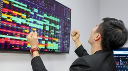 Thăng hoa cổ phiếu khoáng sản: Tăng bằng lần, xuất hiện đơn vị tỷ USD vốn hoá