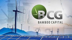 Hàng trăm triệu cổ phiếu "họ" Bamboo Capital chất giá sàn
