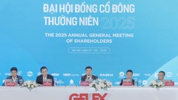 Đại hội cổ đông thường niên năm 2025 của Gelex. Ảnh: Hải Thu 