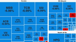 VN-Index "rơi" 88 điểm, giảm mạnh nhất lịch sử 