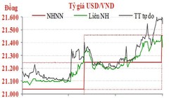 Diễn biến tỷ giá USD/VND trong một năm qua - Nguồn: TNG Holdings Việt Nam.
