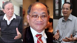 Từ trái qua: Ông Vũ Vinh Phú, TS. Lê Đăng Doanh, TS. Ngô Trí Long