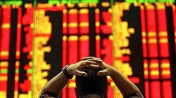 Nhóm cổ phidầu khí đã cùng nhau tụt giá thê thảm 