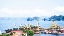 Đến lượt cảng Quảng Ninh được Vinalines rao bán