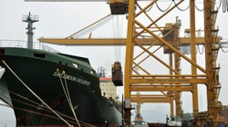 Cảng Quảng Ninh nhiều khả năng sẽ về tay doanh nghiệp Bầu Hiển trong năm nay