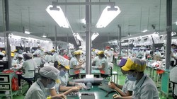 Samsung lấy Việt Nam làm trung tâm sản xuất toàn cầu của tập đoàn này